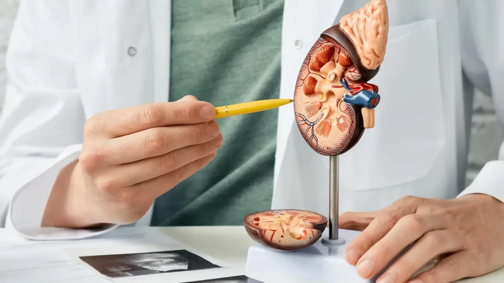 اورولـــوژی